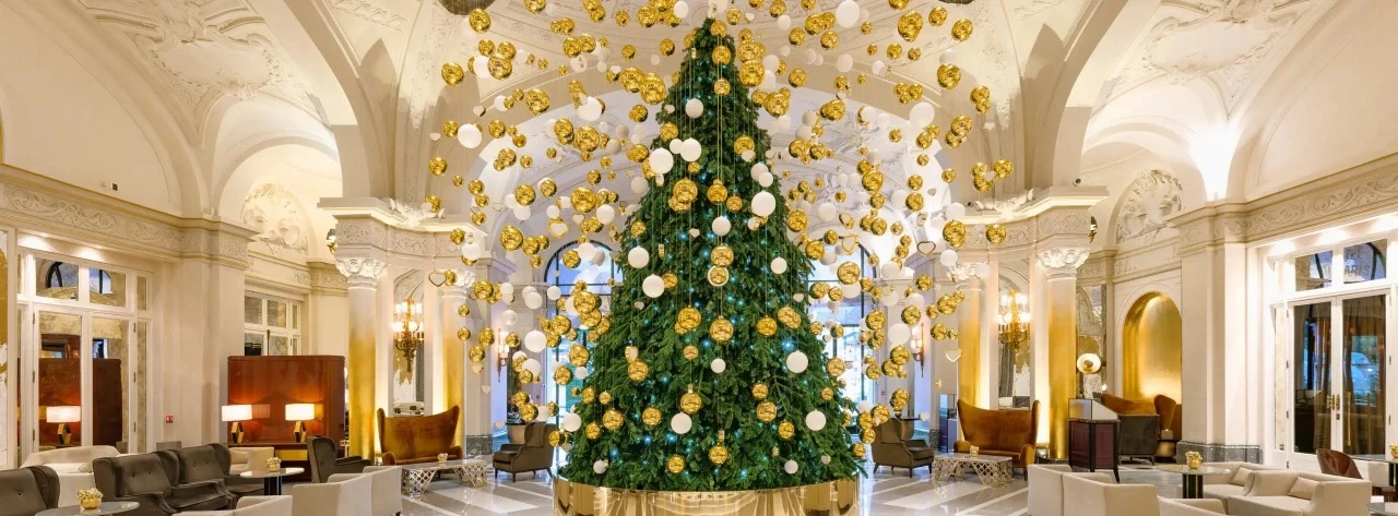 Monaco's Annual Christmas Tree Auction Raises Over 100k