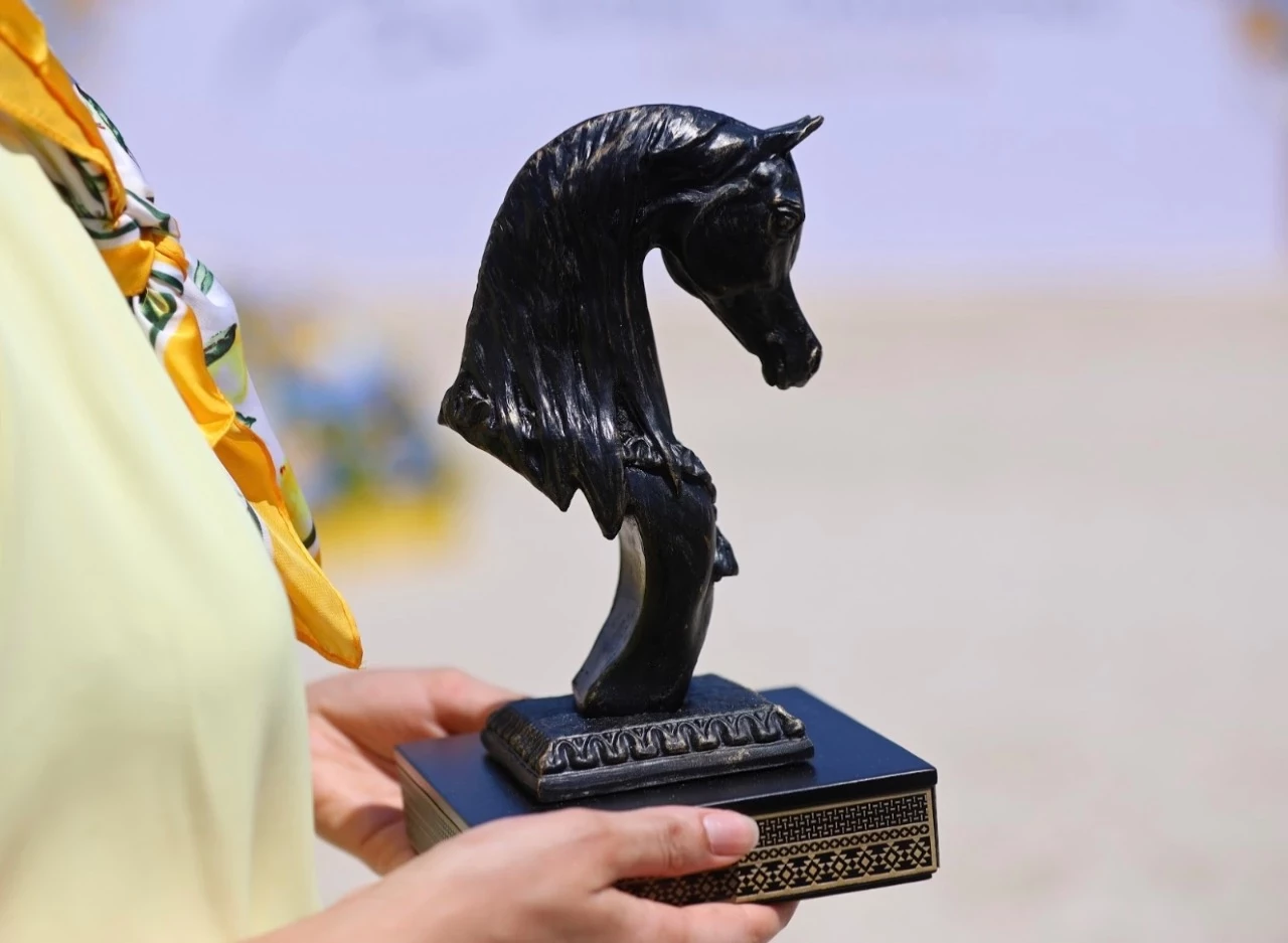 Sovereignty of Form: The Purebred Arabian on the Mediterranean