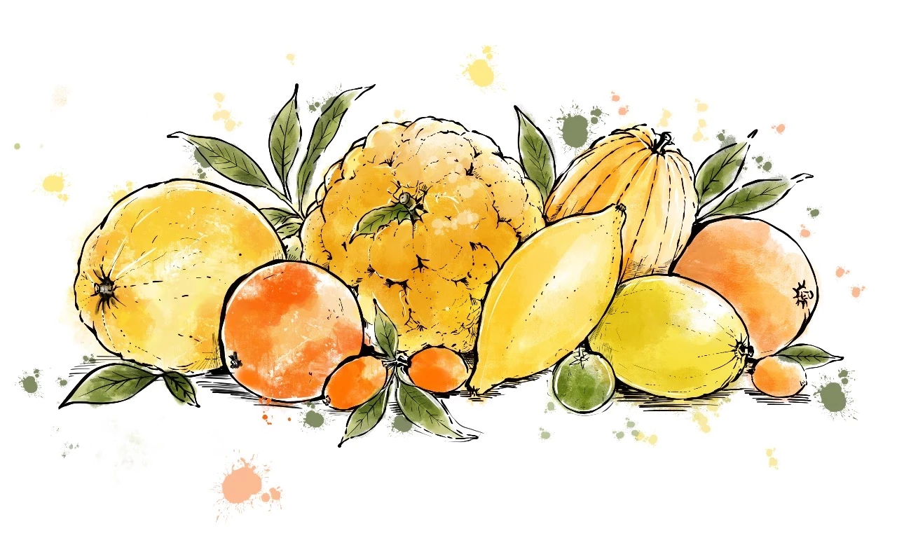 THE SECRET LIFE OF LEMONS
